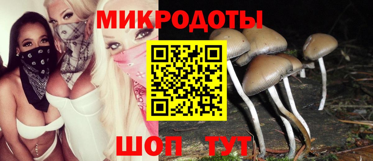 Галлюциногенные грибы Magic Shrooms  Вход с VPN  Псилоцибиновые грибы GOLDEN TEACHER  Аргун 