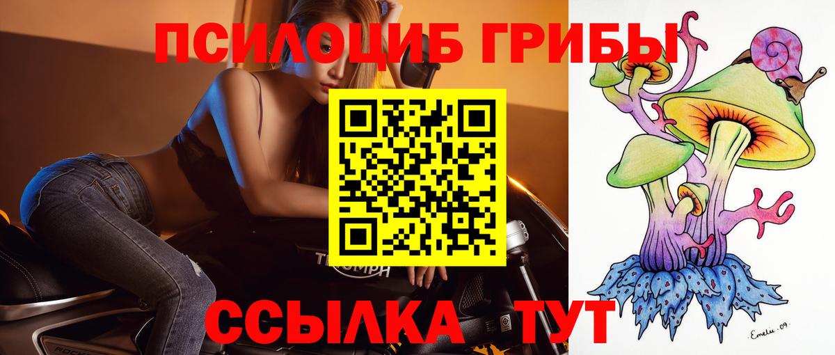 Галлюциногенные грибы ЛСД Аргун