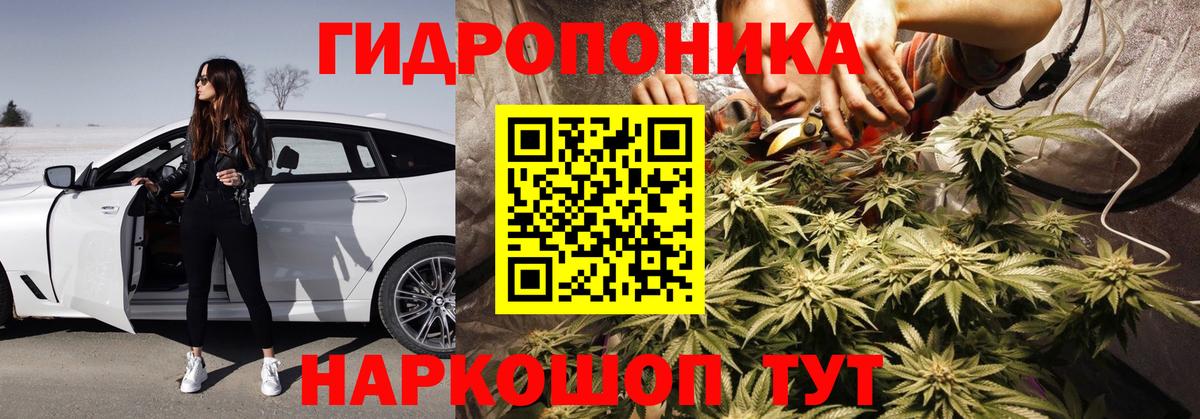 Марихуана гибрид Аргун